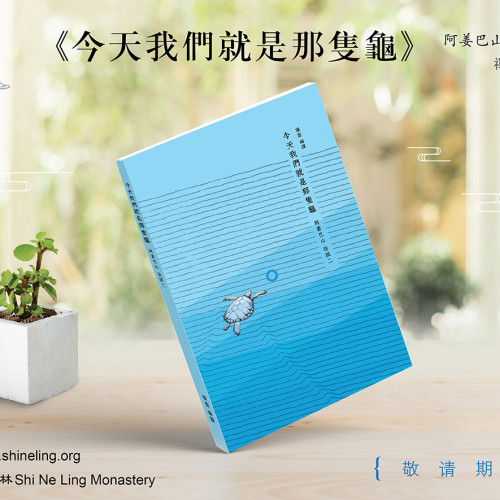 今天我們就是那隻龜（繁體版）