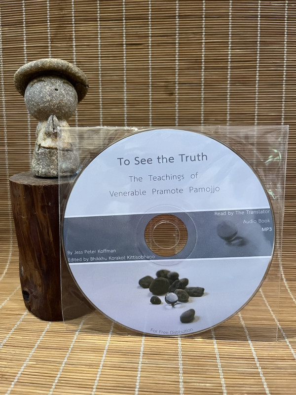 To See the Truth (Audio Book) CD