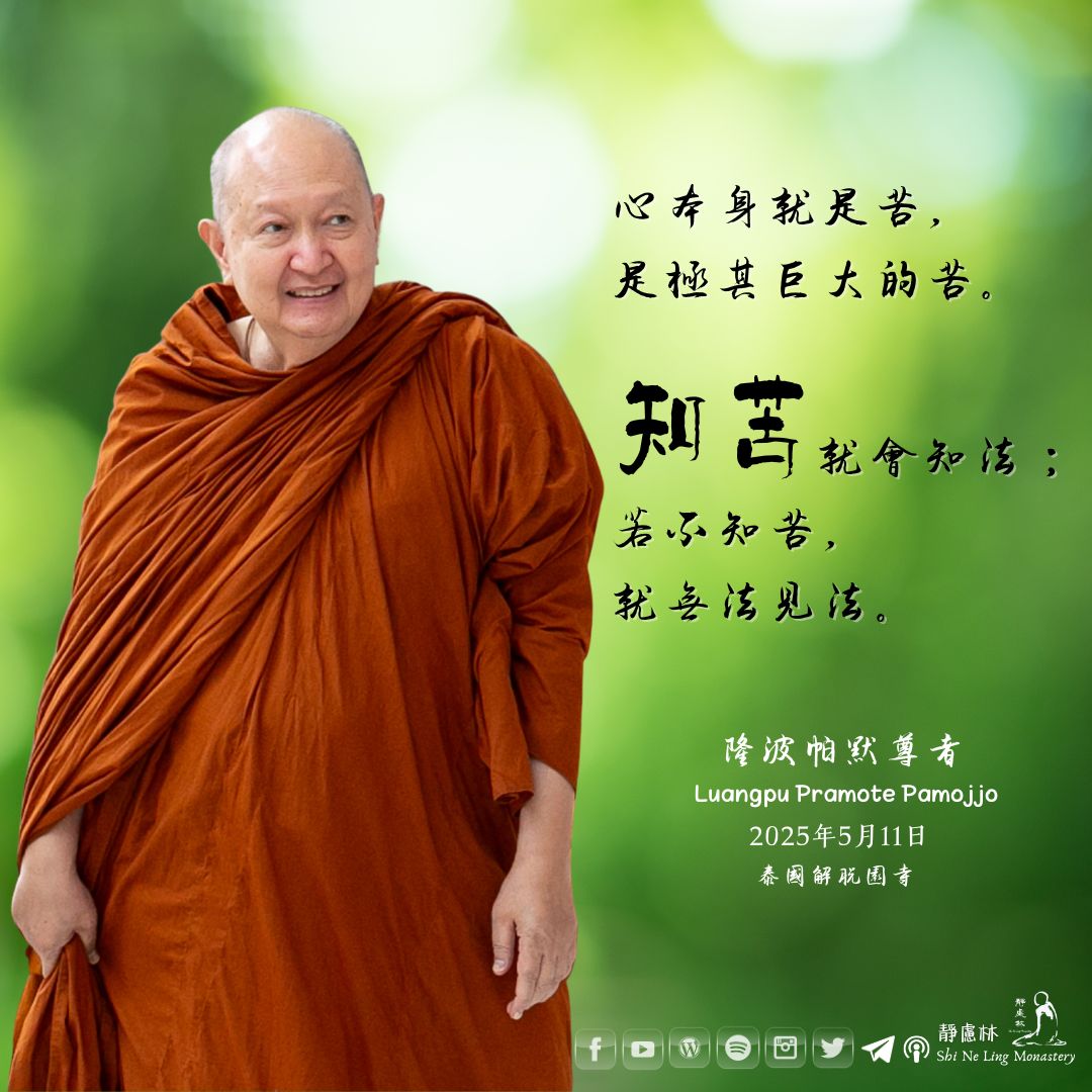 知苦,就會知法|隆波帕默尊者 - 靜慮林